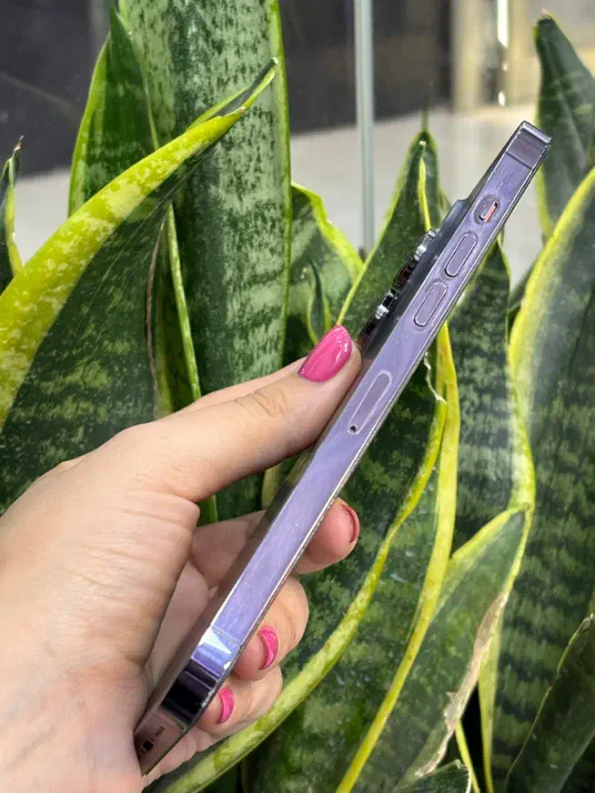 Purple 14 mx دوربین عالی با طلا و بتا|موبایل|اصفهان, احمدآباد|دیوار