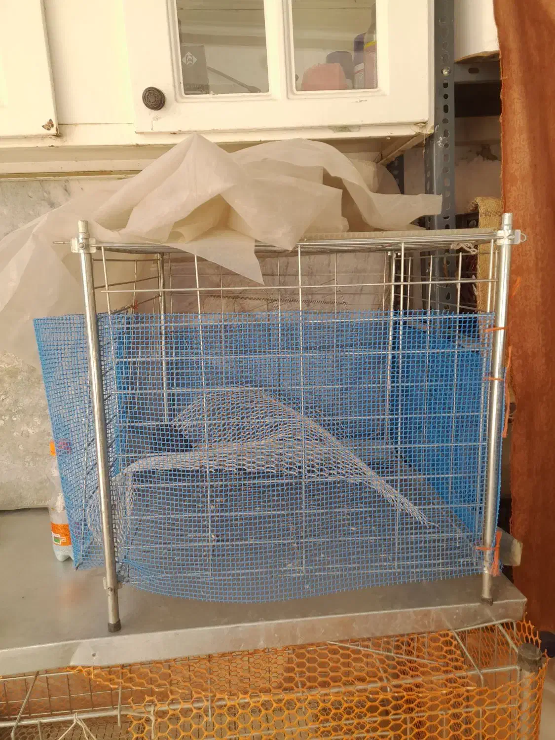 قفس|لوازم جانبی حیوانات|گلپایگان, |دیوار