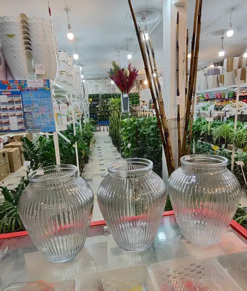 گلدان شیشه ای بامبو خمره شیشه شامپاینی آگلونما ناز|صنایع دستی و سایر لوازم تزئینی|قم, ولیعصر|دیوار