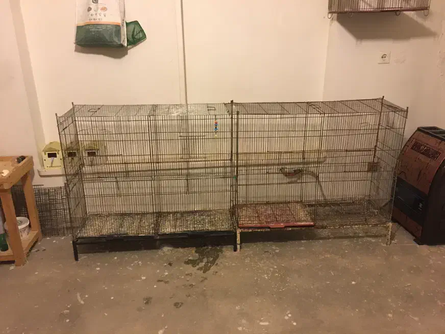 فروش گنجه قفس پران|لوازم جانبی حیوانات|آمل, |دیوار
