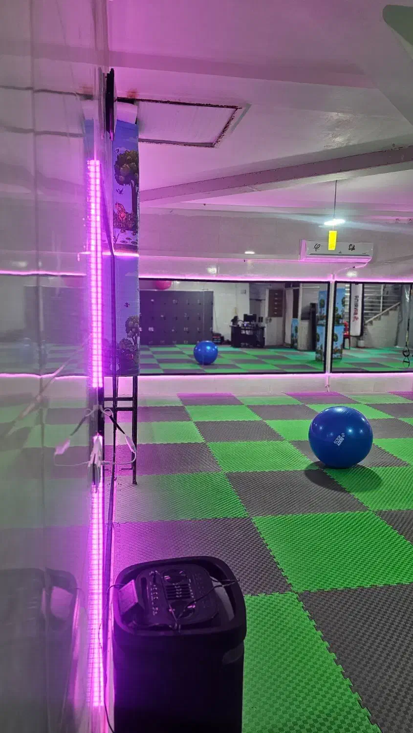 نیازمند مربی وشوو و کیک بوکس بانوان|استخدام آموزشی|شیراز, شهرک رضوان|دیوار