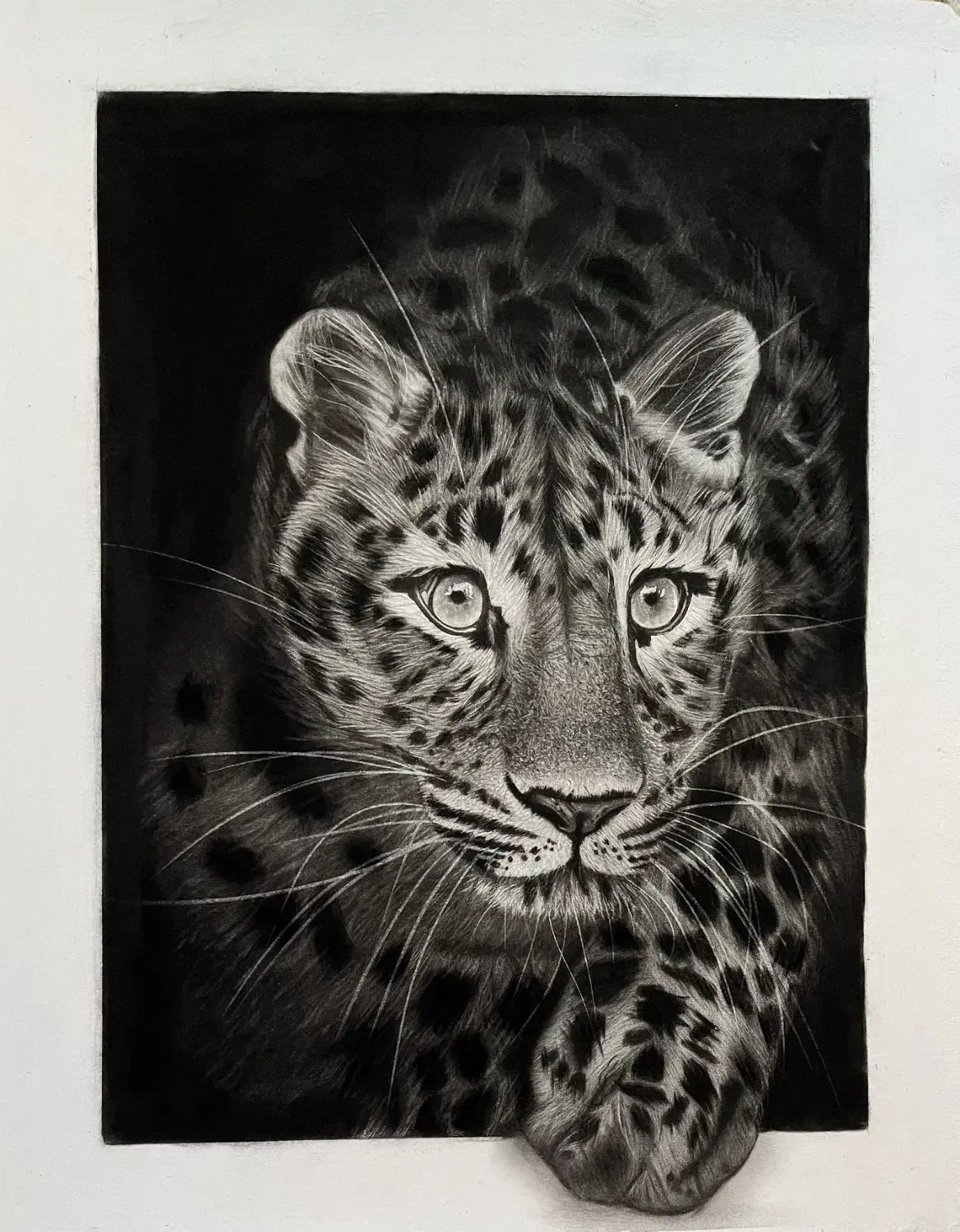 سیاه قلم|تابلو، نقاشی، عکس|قدس, شهر‌قدس|دیوار