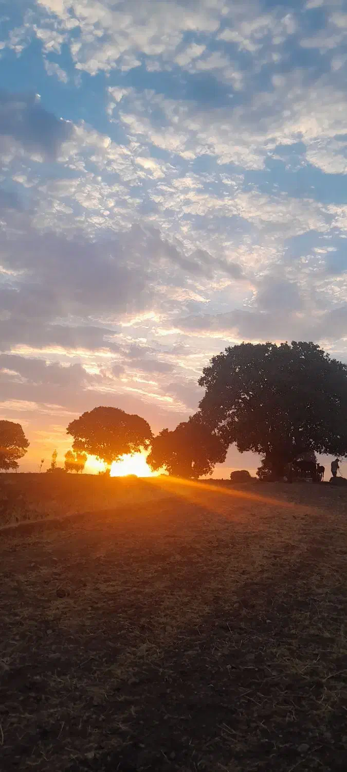 اجاره خانه و ویلا باغ|اجارهٔ کوتاه‌مدت ویلا و باغ|کوهدشت, |دیوار