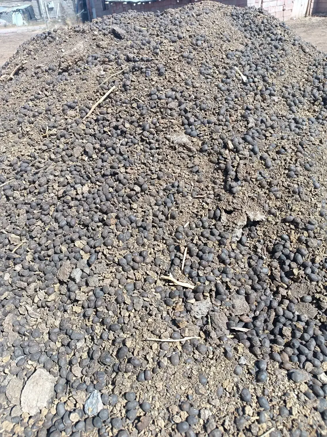 کود گوسفندی درجه یک|خدمات باغبانی و درختکاری|طالقان, |دیوار