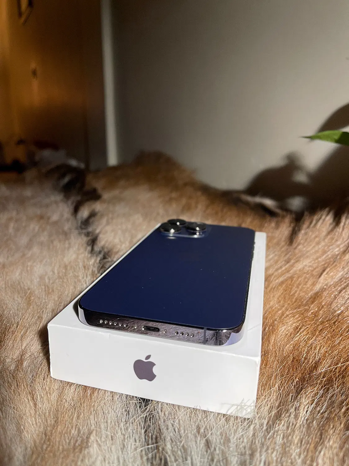 iphone 14pro max ریجستر 84%|موبایل|شیراز, گلدشت معالیآباد|دیوار