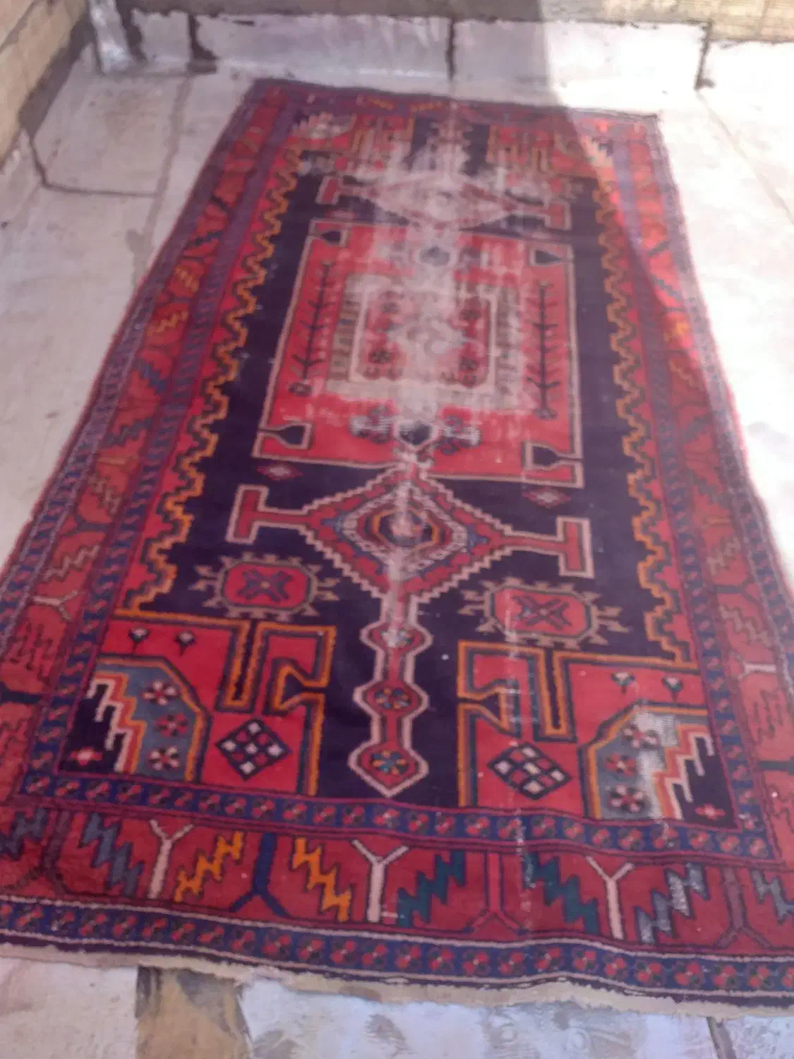 قالی قدیمی کوردی|فرش|مریوان, |دیوار