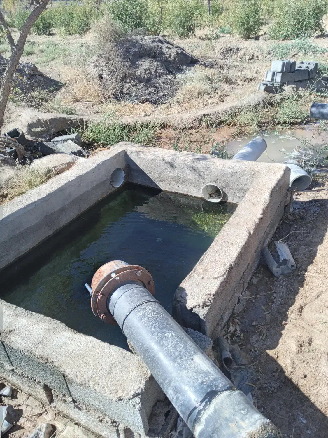 زمین کشاورزی ۵۰۰۰متر محمدیه با یک ساعت آب|فروش زمین و ملک کلنگی|خوسف, |دیوار