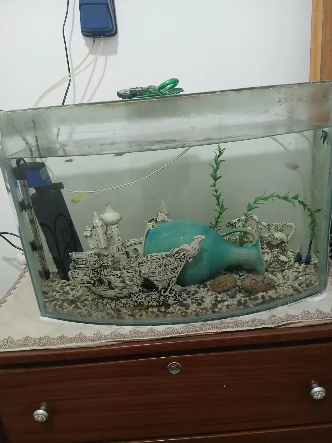 اکواریوم توافقی|ماهی|تفت, |دیوار