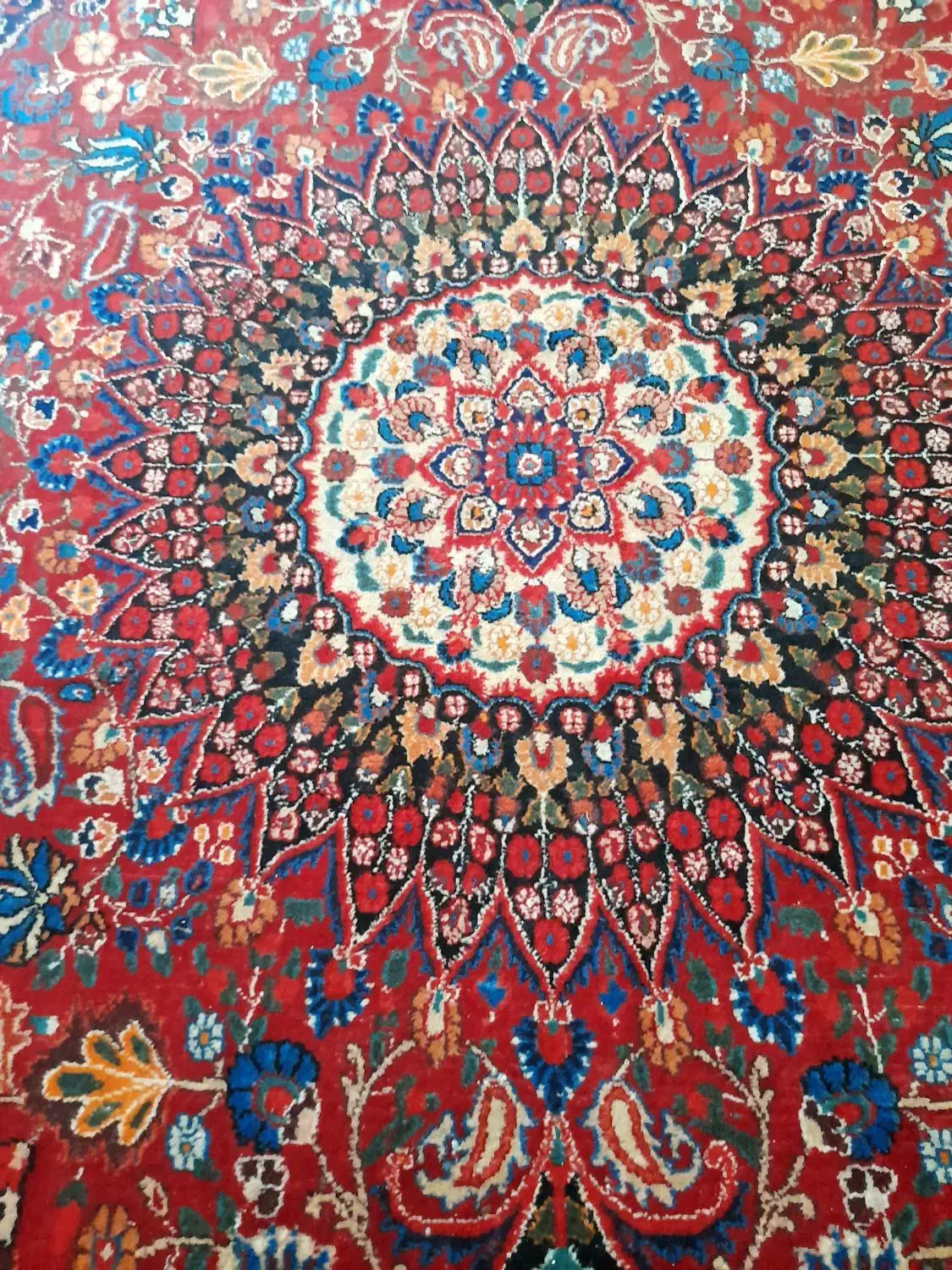 فرش دستباف|فرش|زاهدان, |دیوار