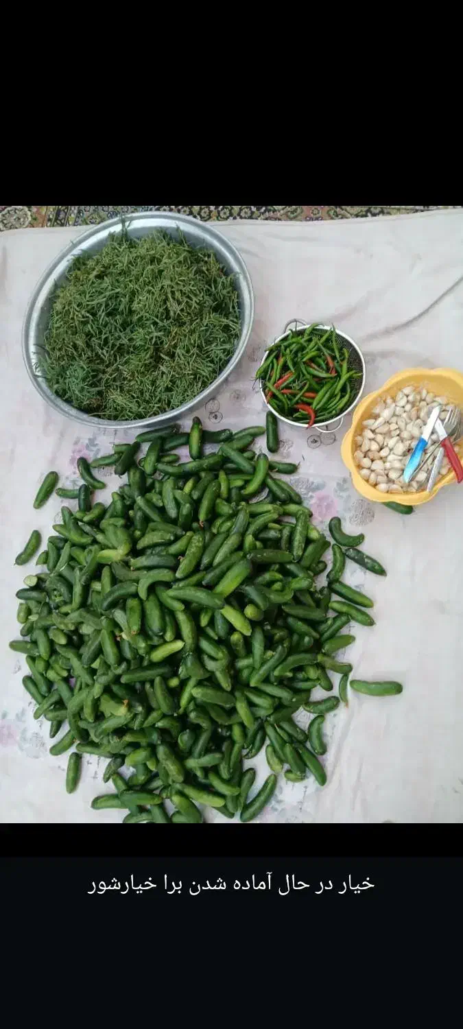 خیارشور بومی شیراز|خوردنی و آشامیدنی|شاهین‌شهر, کوی مهدیه|دیوار