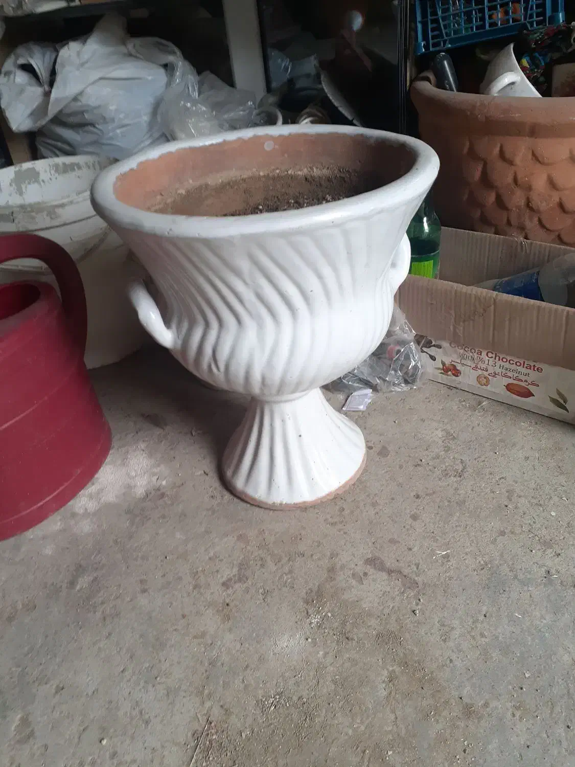 گل وگیاه|گل و گیاه طبیعی|بروجرد, |دیوار