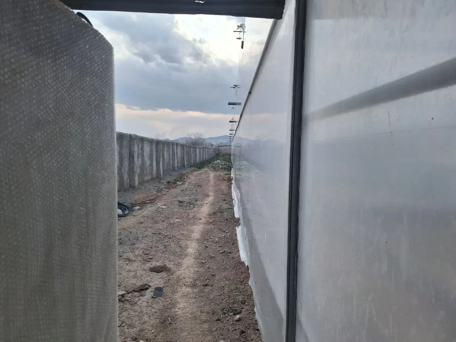 گلخانه 5800متر چهاردیواری شده|فروش دفتر صنعتی، کشاورزی، تجاری|رباط‌کریم, پیغمبر|دیوار