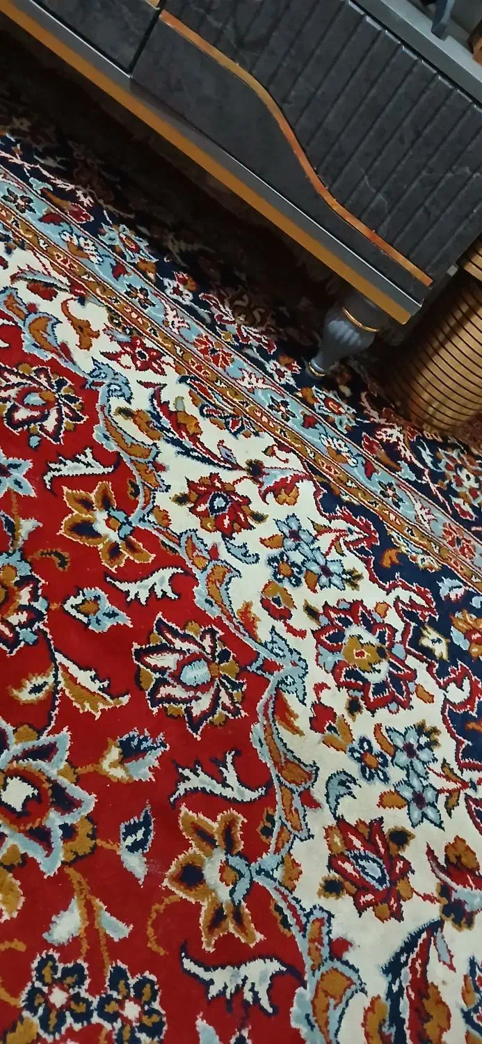 فرش سالم قیمت مفت|فرش|یزد, |دیوار