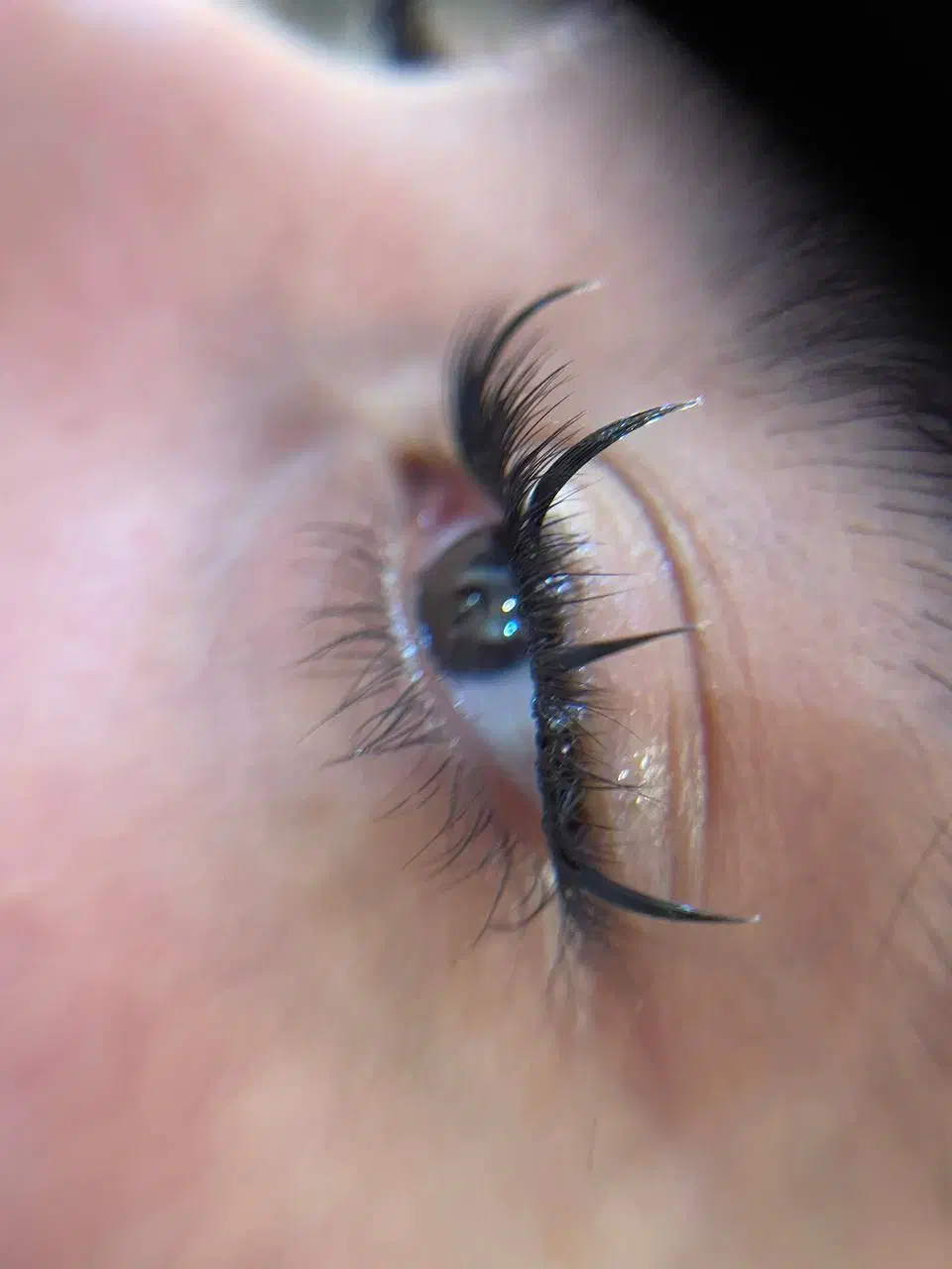 مژه|خدمات آرایشگری و زیبایی|رشت, لاکانی|دیوار