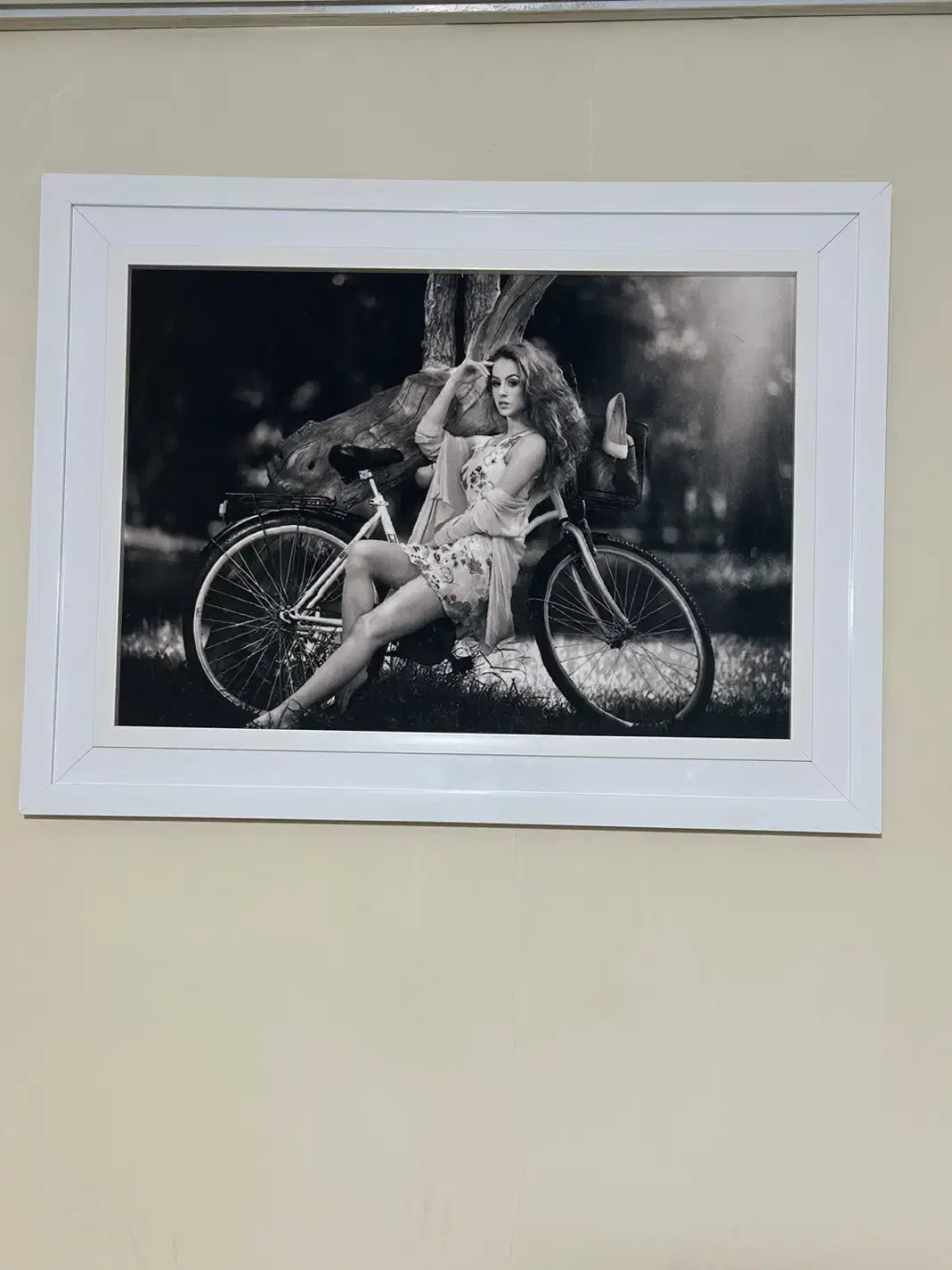 تابلو فرش|تابلو فرش|همدان, |دیوار