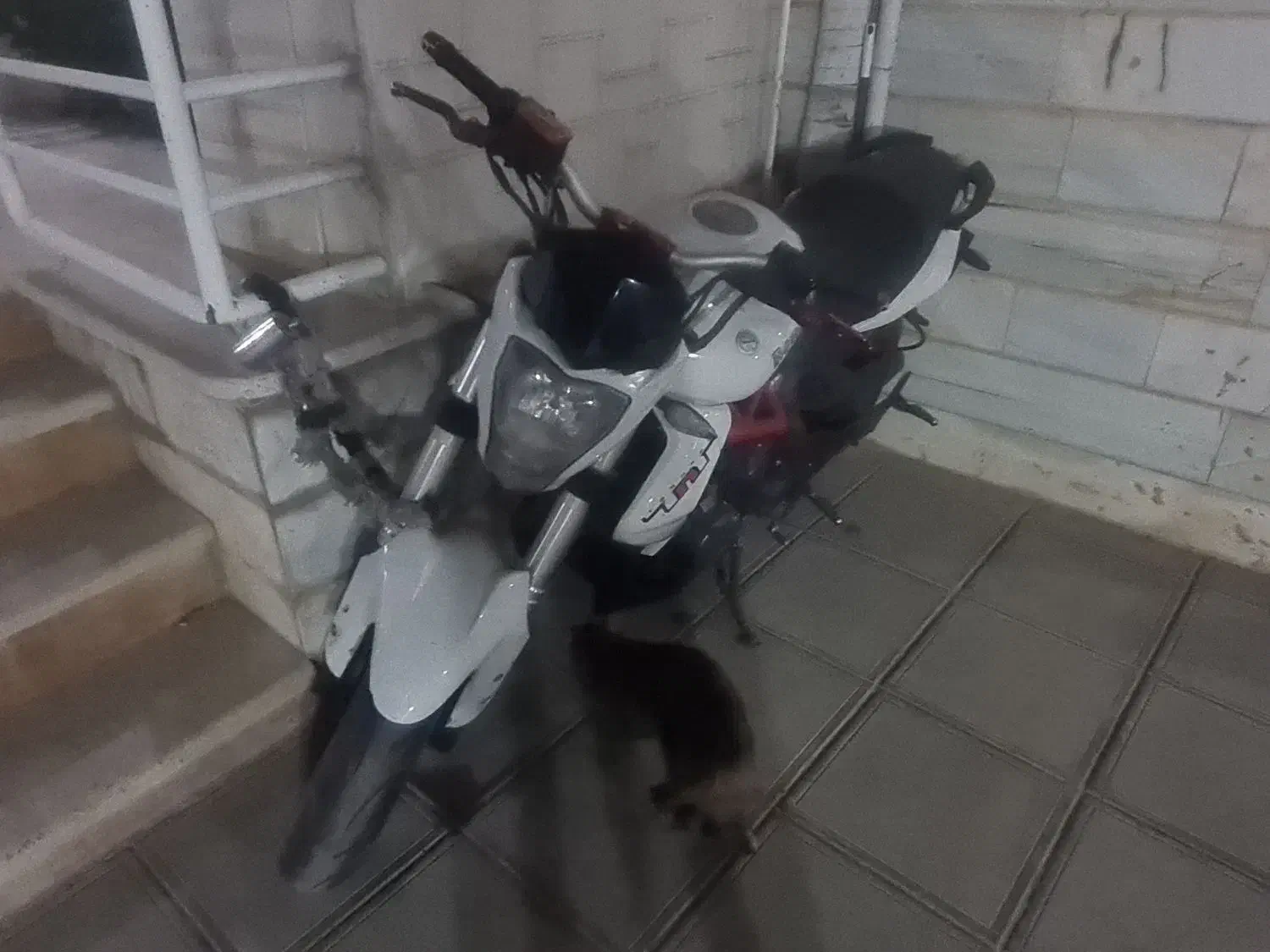 بنلی ۳۰۰ سفید ۲۵۰ چفت cb|موتورسیکلت|پردیس, فاز ۲|دیوار