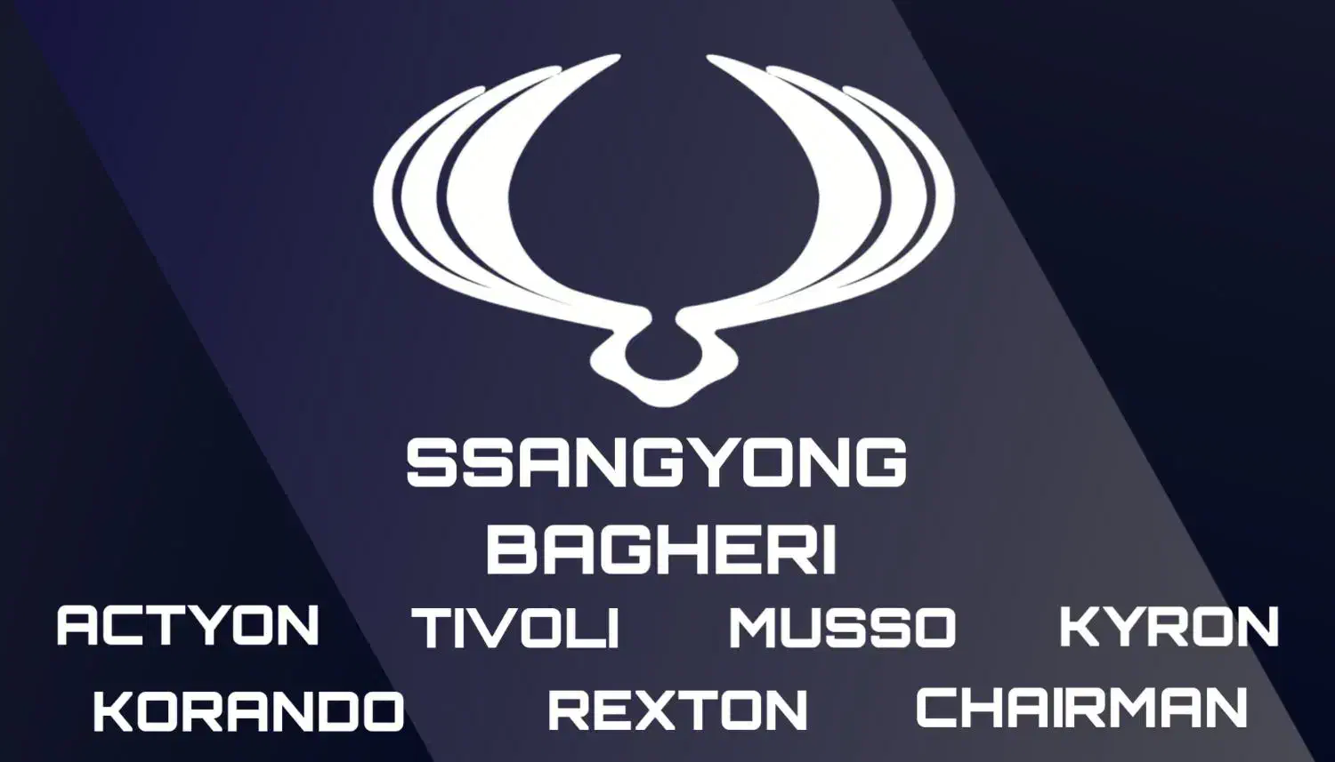 لوازم یدکی سانگ یانگ تیوولی موسو کوراندو اکتیون|قطعات یدکی و لوازم جانبی|تهران, بهارستان|دیوار