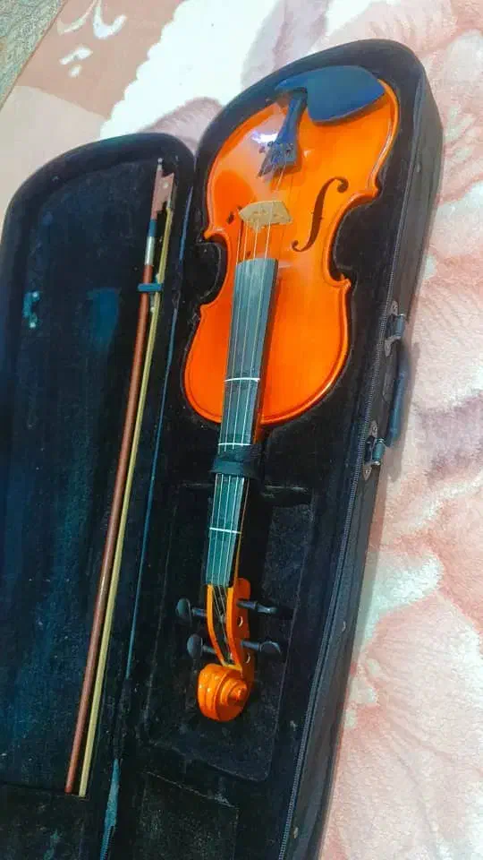 ویولون|ویولن|فیروزآباد (فارس), |دیوار