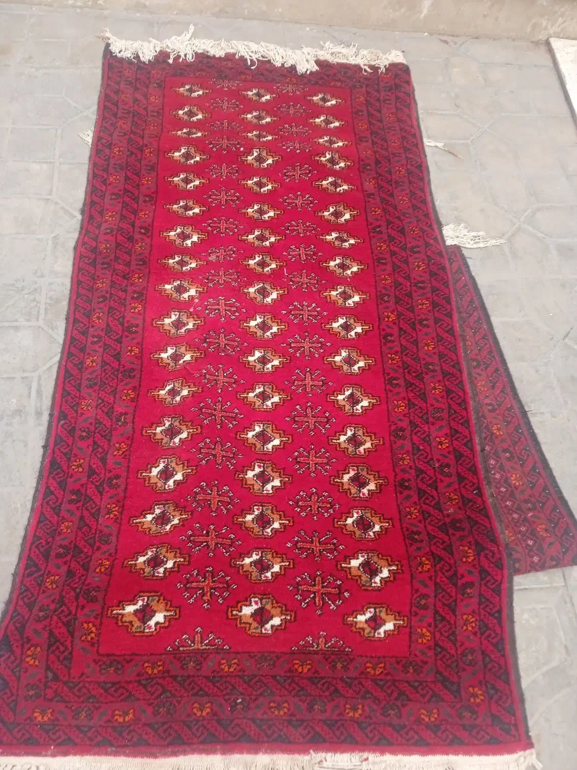 قالیچه دستباف نو|فرش|تربت‌حیدریه, مظفریه|دیوار