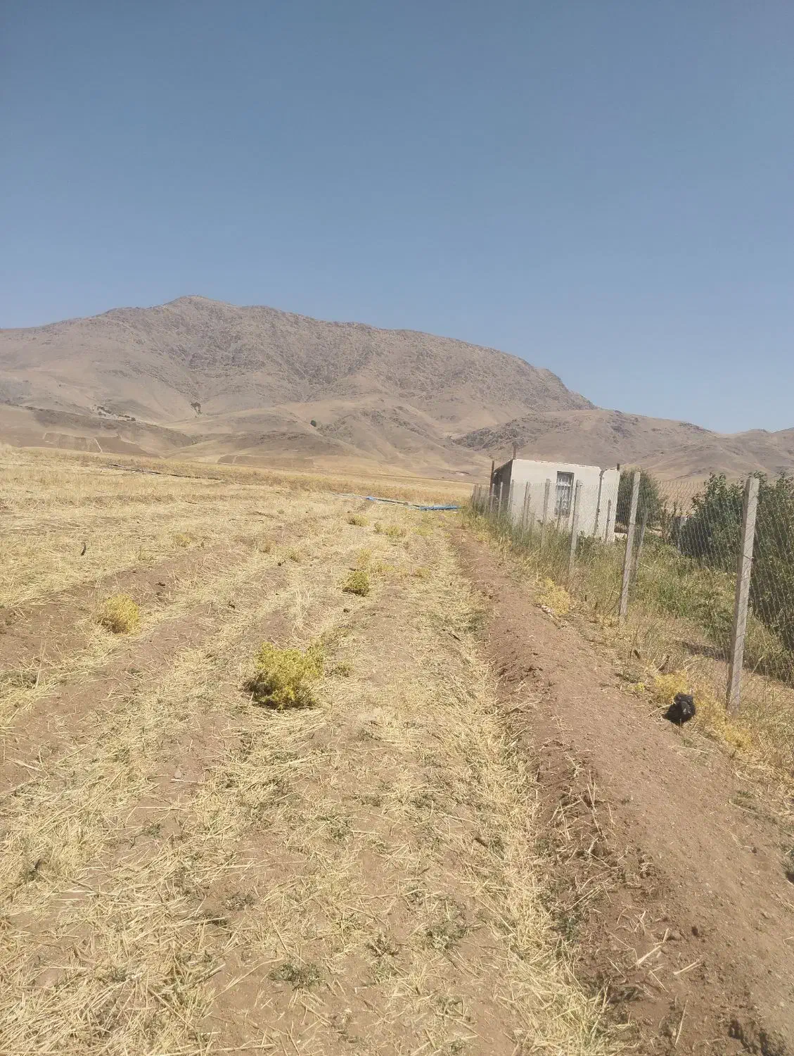 زمین نزدیک روستاوبالای جاده اصلی تعویض باماشین|فروش زمین و ملک کلنگی|دینور, |دیوار