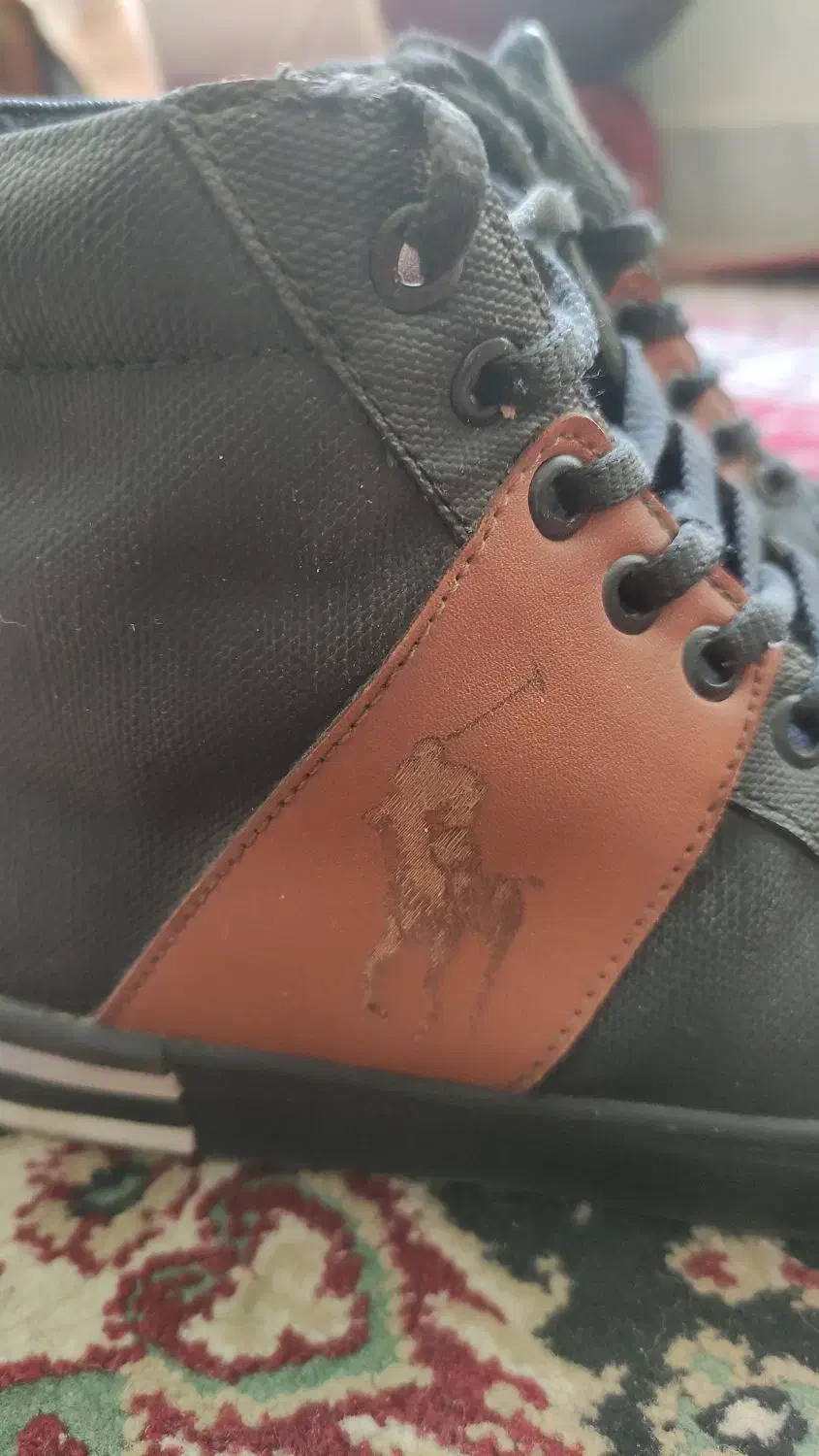 نیم بوت|کیف، کفش، کمربند|یزد, |دیوار