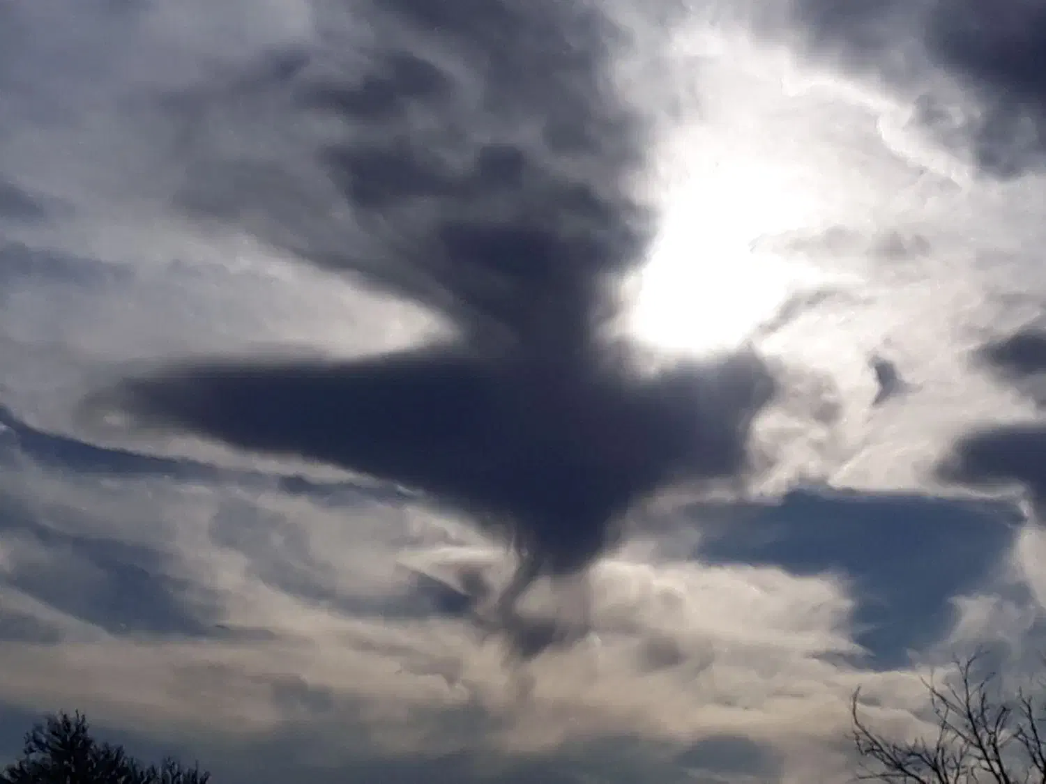 کارگر ساده متاهل واسه کار گاوداری|استخدام سرایداری و نظافت|چناران, |دیوار