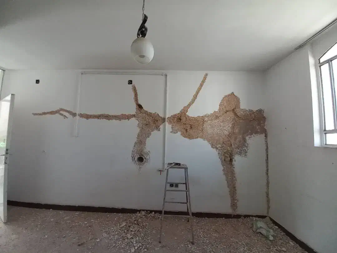 گچکار،گچ کاری در تمام نقاط شهر|خدمات پیشه و مهارت|شیراز, ملاصدرا|دیوار