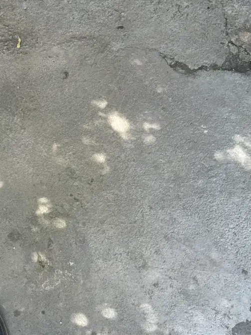 یک قطعه زمین دویست متری سند تک برگ جای خوب در تیس|فروش زمین و ملک کلنگی|چابهار, |دیوار