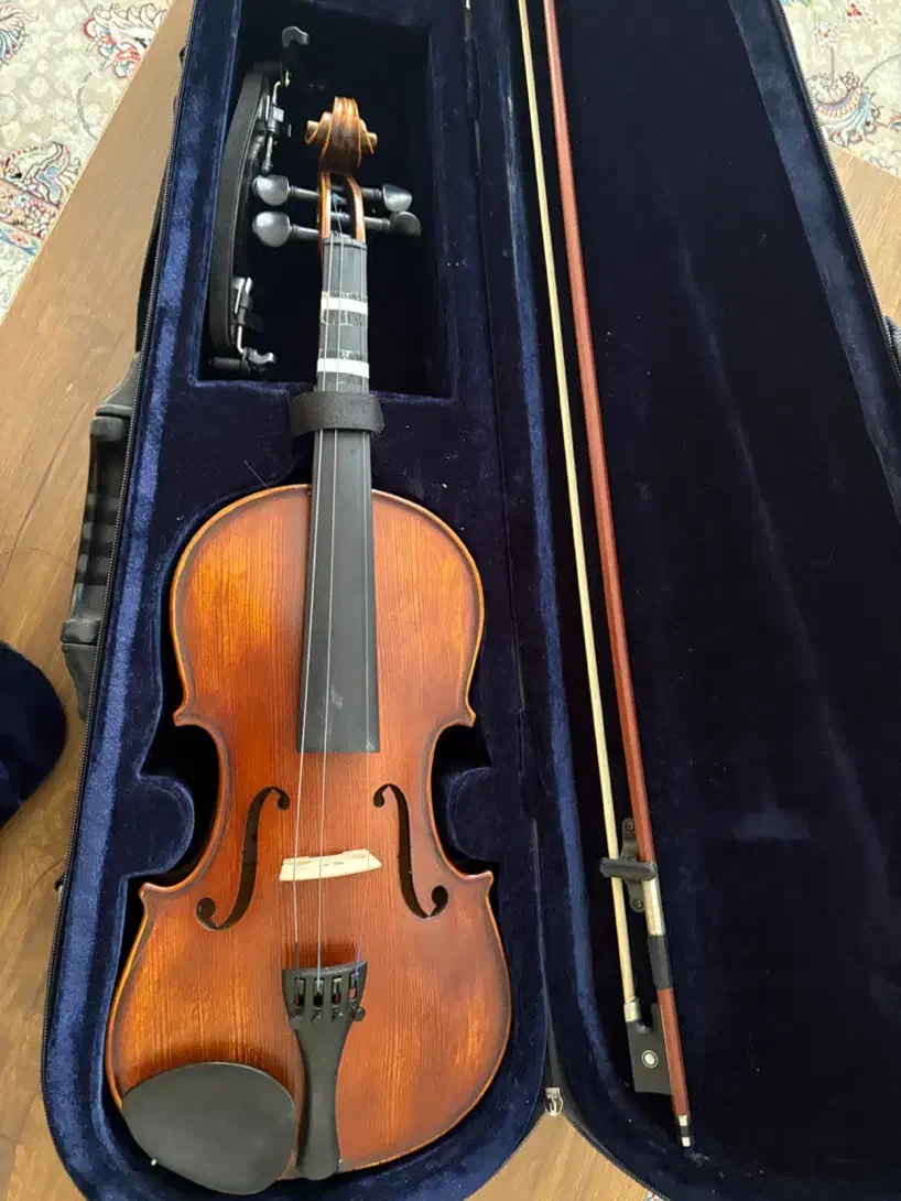 ویالون|ویولن|تهران, آهنگ|دیوار