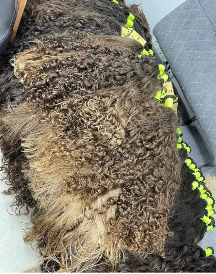 خریدار مو بدون واسطه برابر با طلا و دلاری|خدمات آرایشگری و زیبایی|زنجان, |دیوار