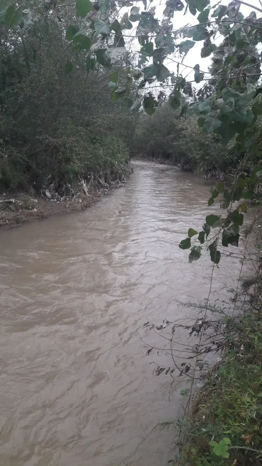 اجاره زمین سه هزار متری روستایی مناسب کافه گلخانه|اجارهٔ خانه و ویلا|صومعهسرا, |دیوار