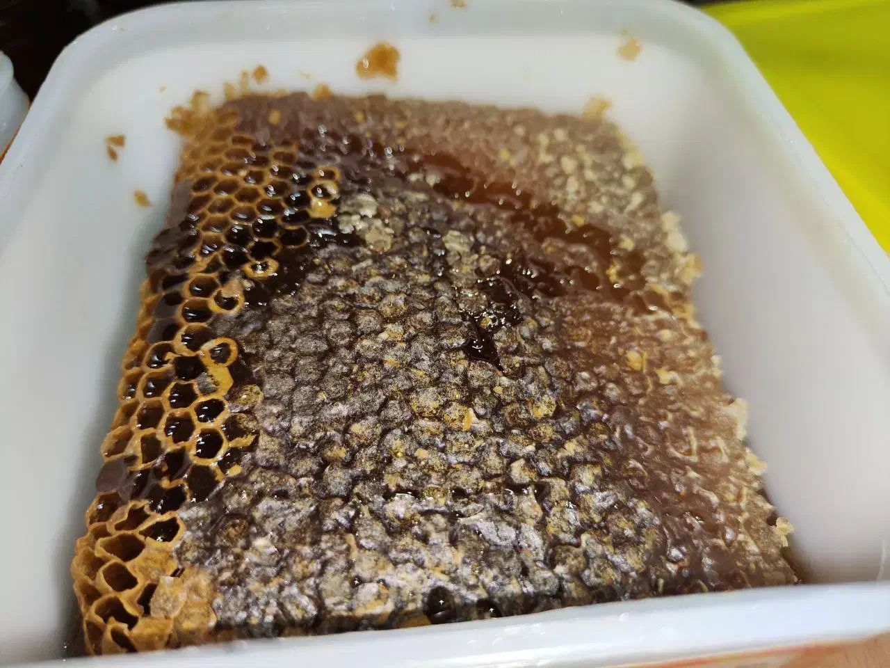 عسل طبیعی سبلان|خوردنی و آشامیدنی|تهران, ایرانشهر|دیوار