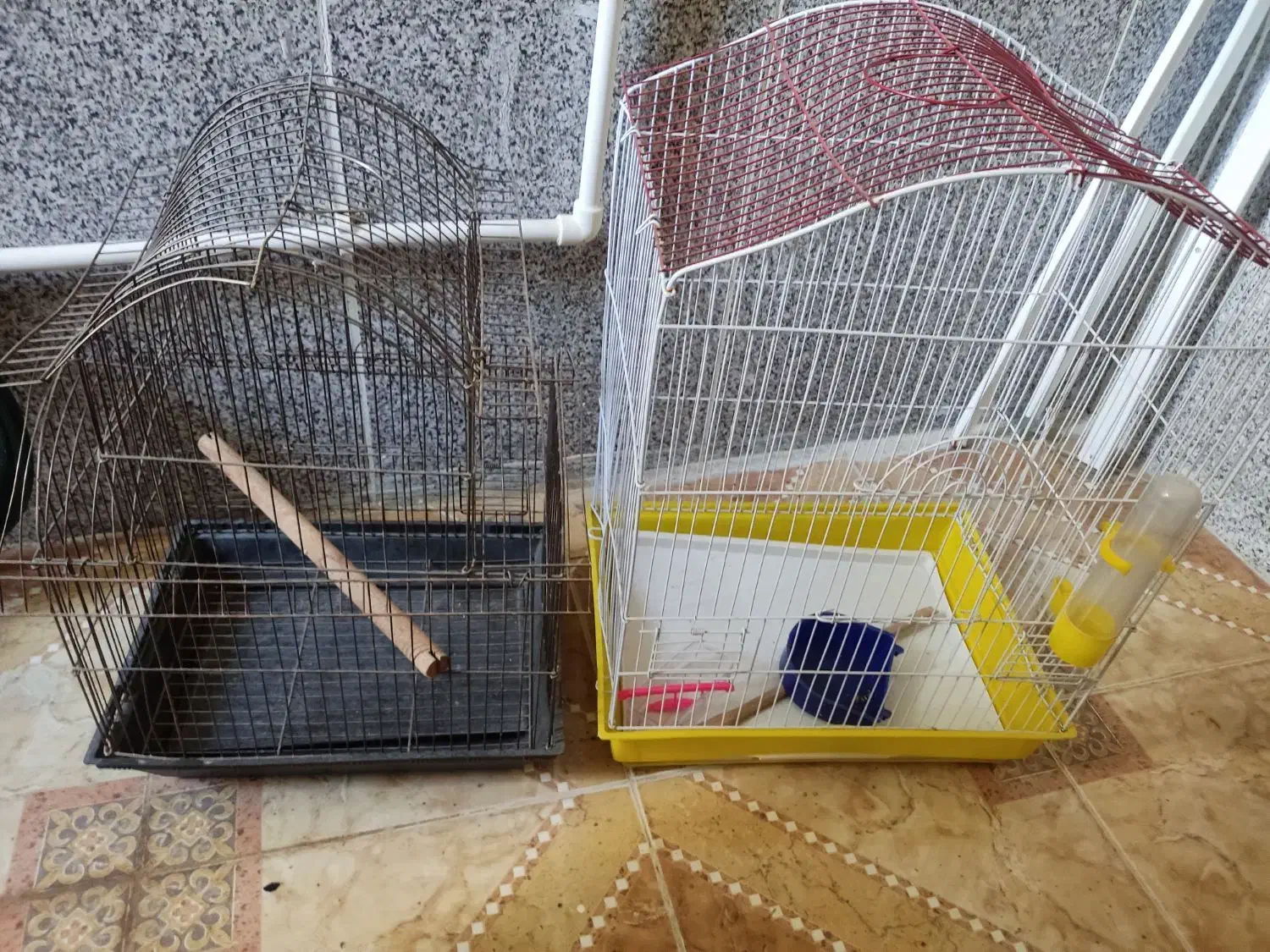 قفس|عمده‌فروشی|جوانرود, |دیوار