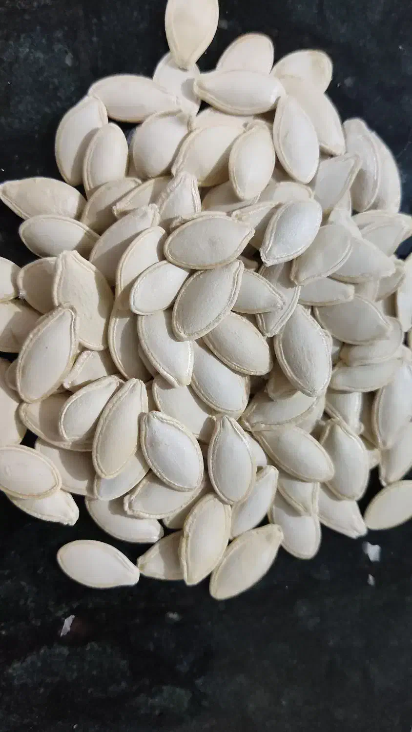 فروش 400کیلو تخمه کدو گوشتی|خوردنی و آشامیدنی|بهمن صغاد, |دیوار