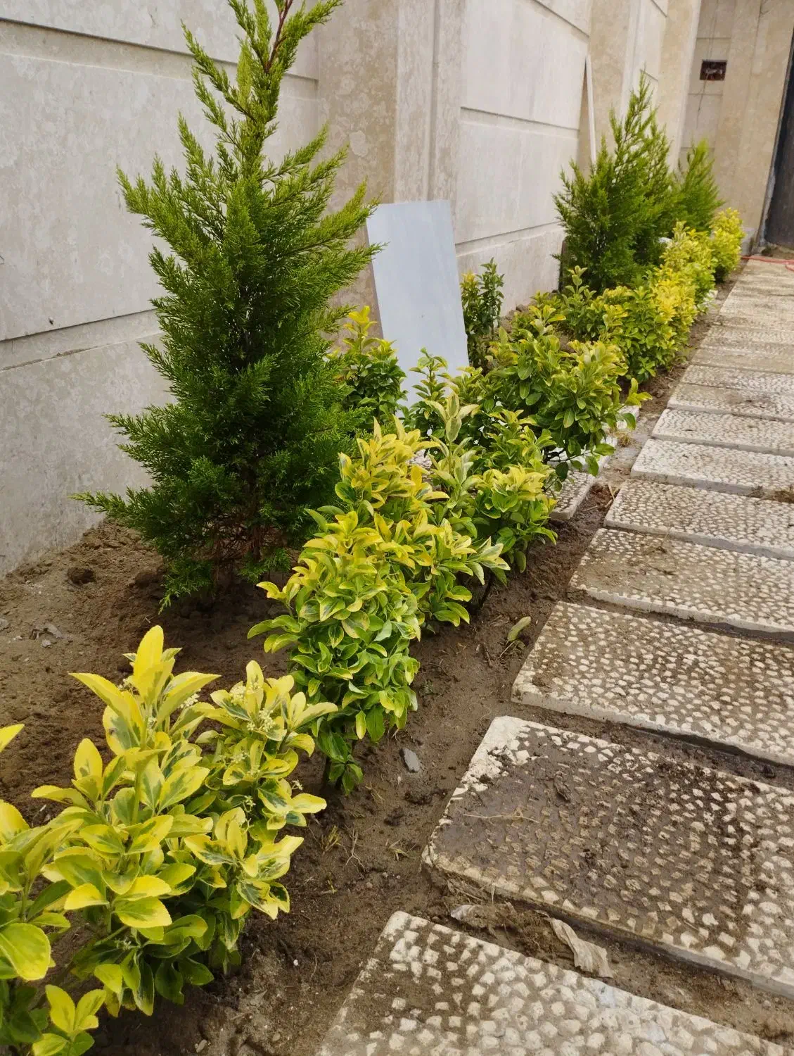 باغبانی،درختکاری و طراحی فضای سبز|خدمات باغبانی و درختکاری|صومعهسرا, |دیوار