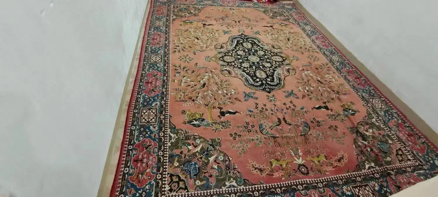 فرش12متری|فرش|ایلام, |دیوار