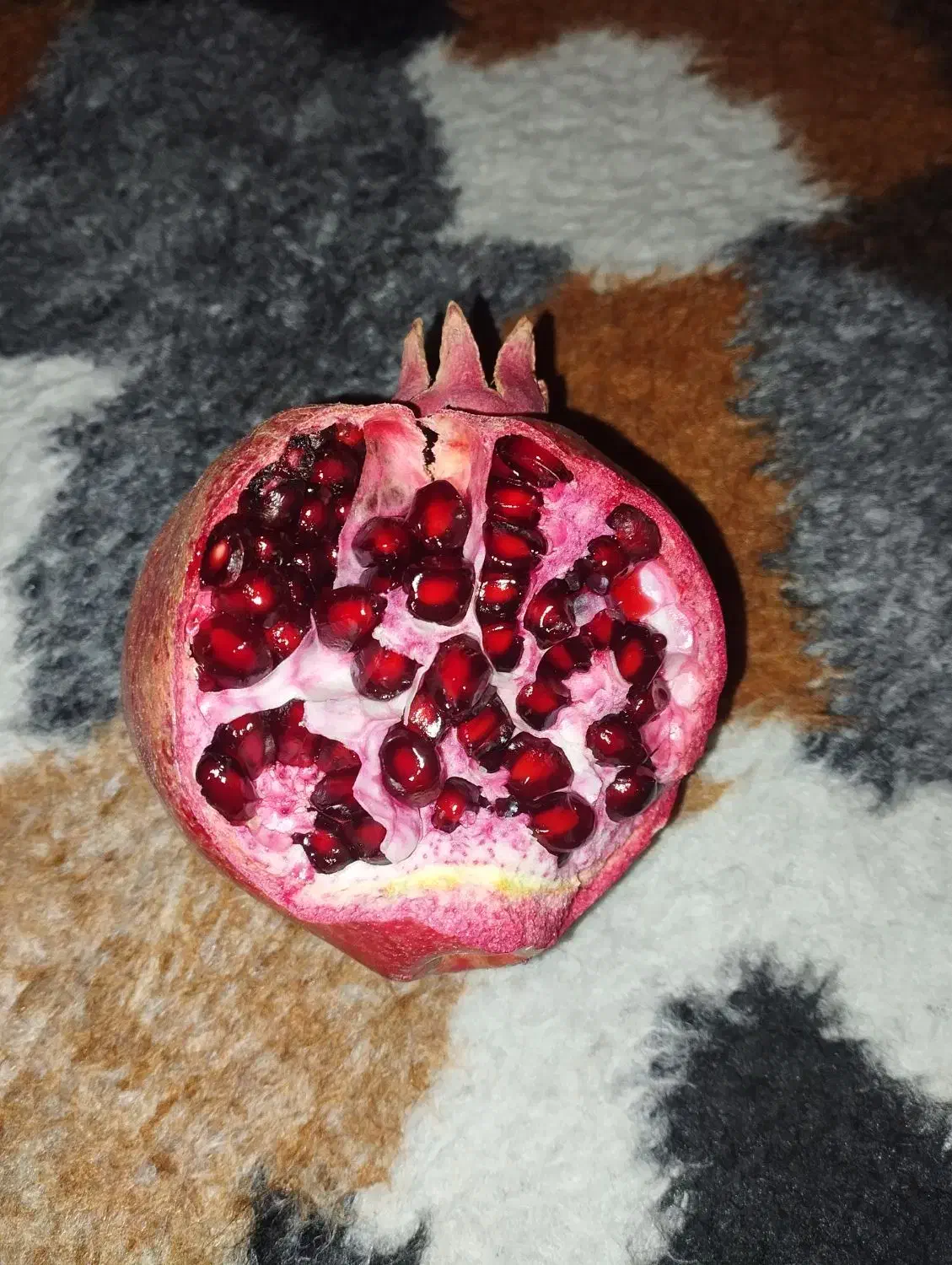 انار درجه ۱ کوهنانی|گل و گیاه طبیعی|کوهنانی, |دیوار