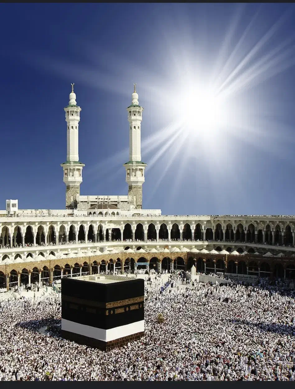 فروش ۳ عدد فیش حج واجب|تور و چارتر|تاکستان, |دیوار