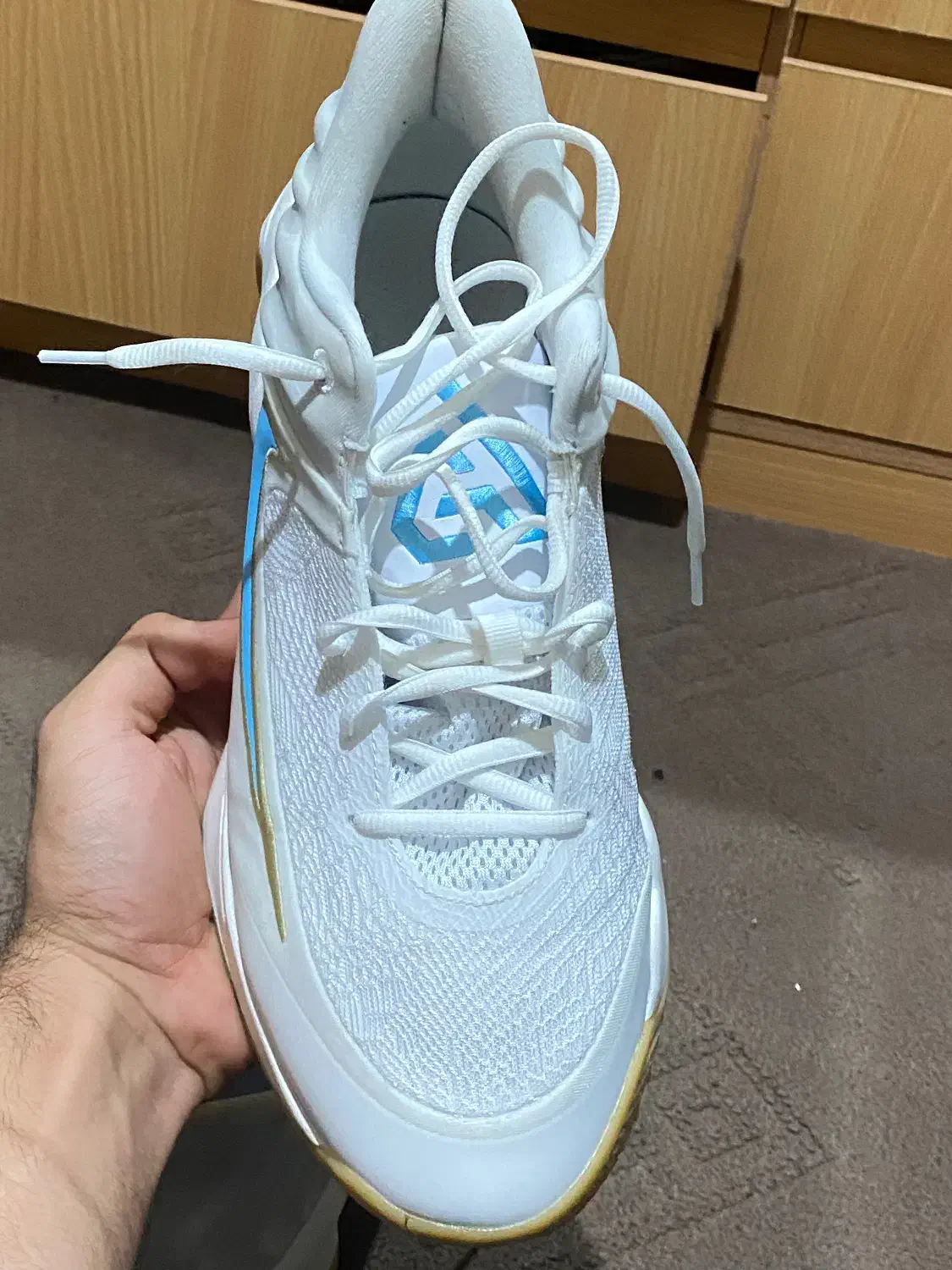 کتونی والیبال جیانیس ۴ سایز ۴۵|کیف، کفش، کمربند|چمستان, |دیوار