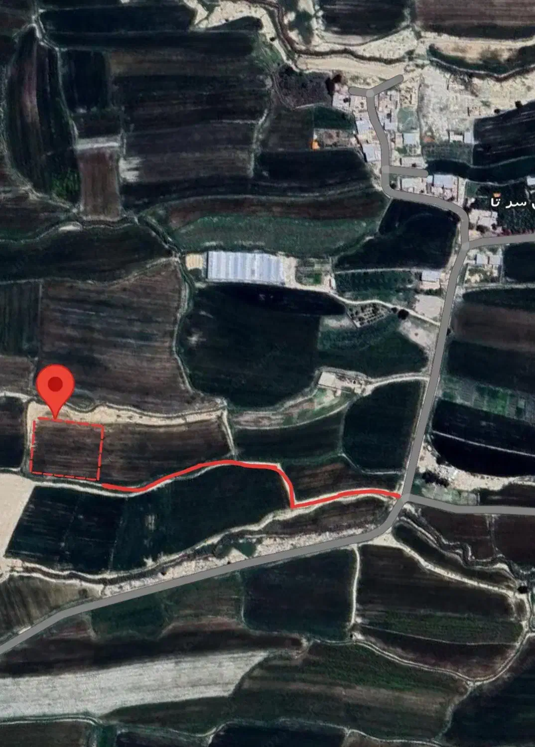 زمین کشاورزی سرطا|فروش دفتر صنعتی، کشاورزی، تجاری|رامهرمز, |دیوار