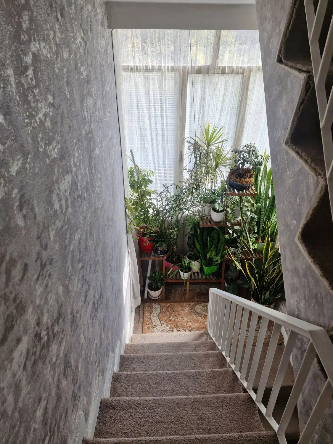 خانه ویلایی ۵۵ متری  سند شیش دانگ|فروش خانه و ویلا|مشهد, شهید مطهری|دیوار