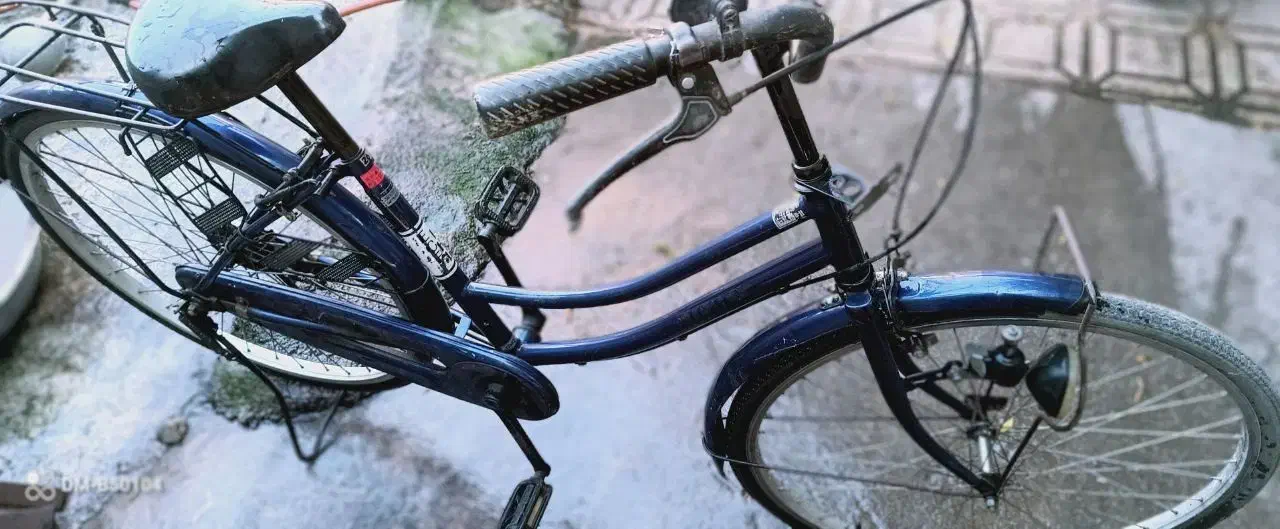 دوچرخه دوخترونه 26|دوچرخه، اسکیت، اسکوتر|قائمشهر, |دیوار