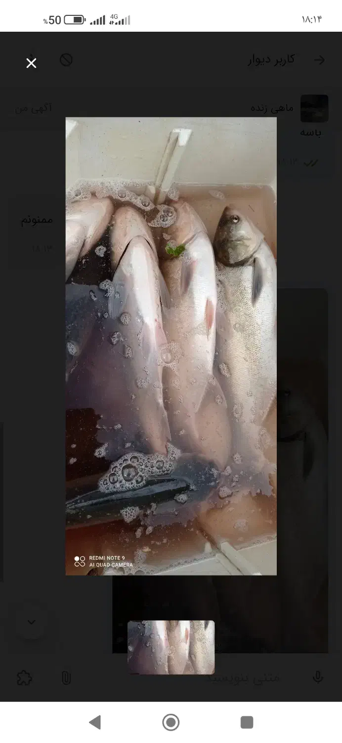 زنده و تازه|خوردنی و آشامیدنی|گیلان غرب, |دیوار