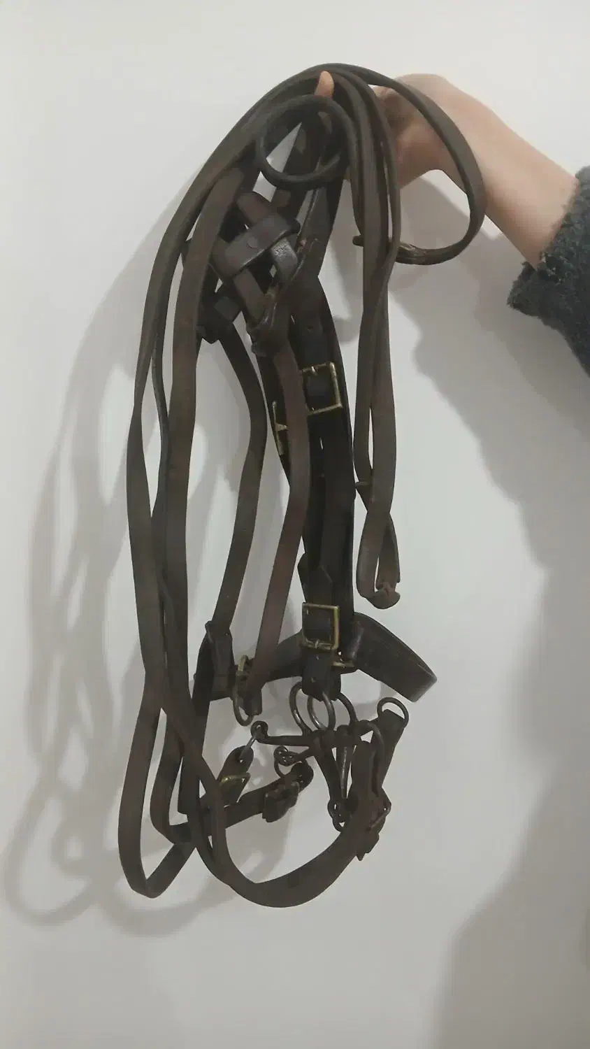 لوازم نگهداری اسب|اسب و تجهیزات اسبسواری|کندوان, |دیوار