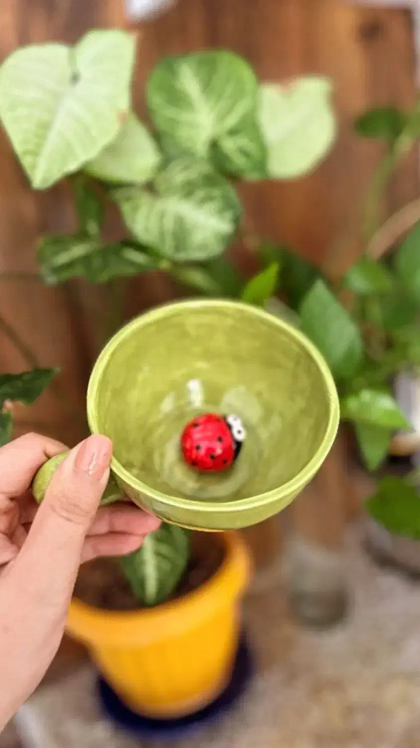 آموزش هنر ریختگری سرامیک در منزل|خدمات آموزشی|تهران, تهرانپارس غربی|دیوار