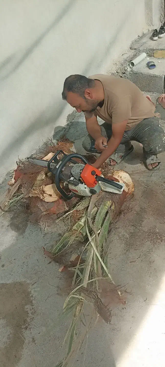 خدمات درخت بری ونخل بری|خدمات باغبانی و درختکاری|بندر کنگان, |دیوار