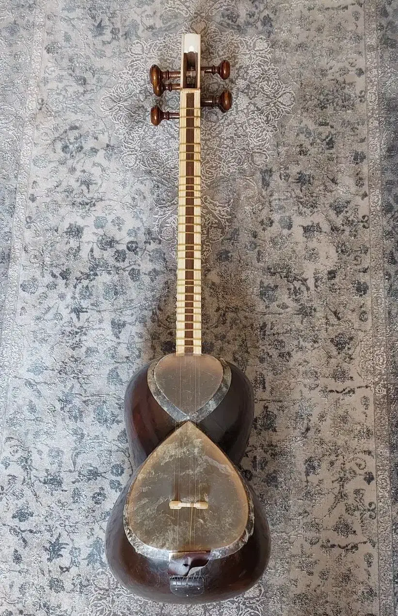 تار سالم|سازهای سنتی|تهران, دریان‌نو|دیوار