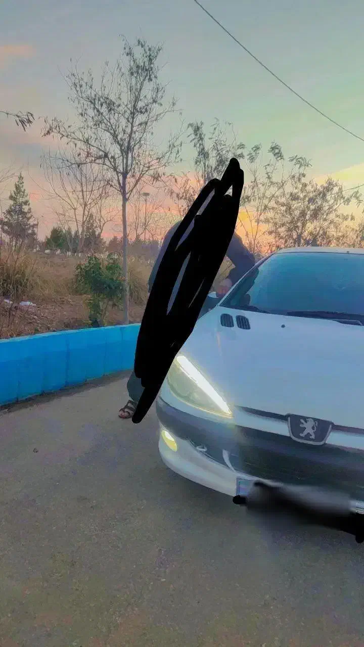 206sd|خودرو سواری و وانت|تایباد, |دیوار