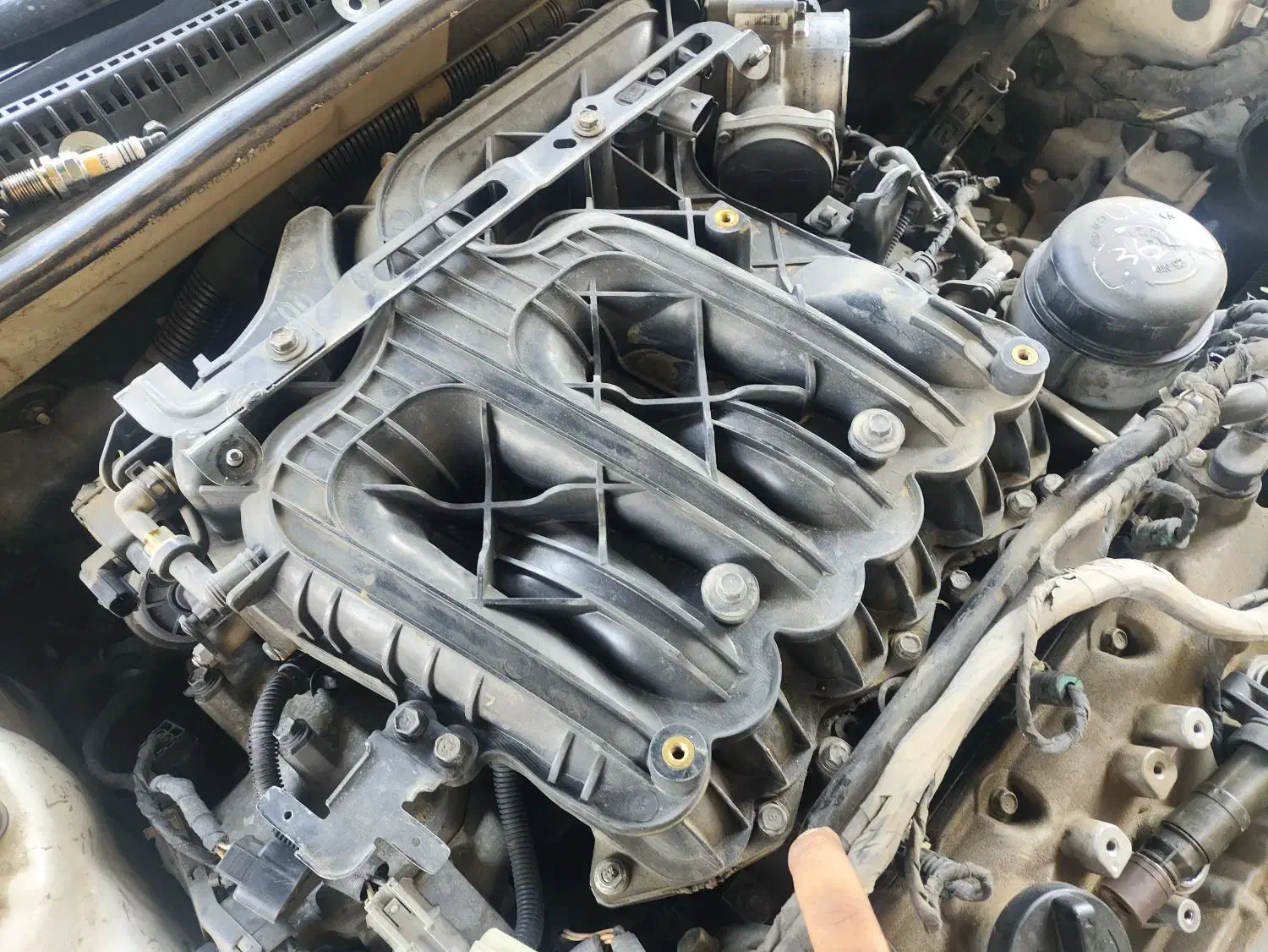 برق تنظیم موتور سنسور اکسیژن روشن کردن ماشین خاموش|خدمات موتور و ماشین|شیراز, اصلاح‌نژاد|دیوار