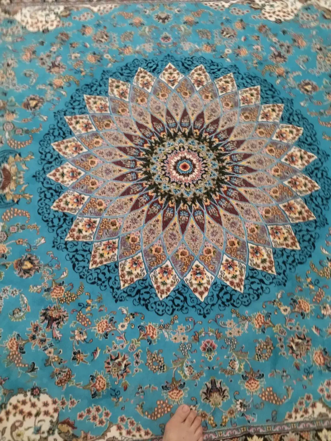 فرش|فرش|گوراب زرمیخ, |دیوار